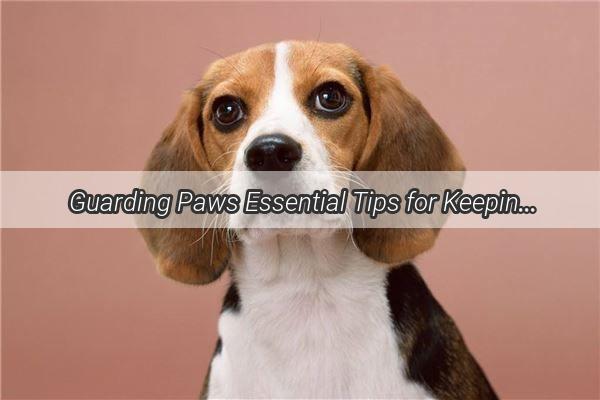 Guarding Paws Essential Tips for Keeping Your Furry Friend Safe and Sound